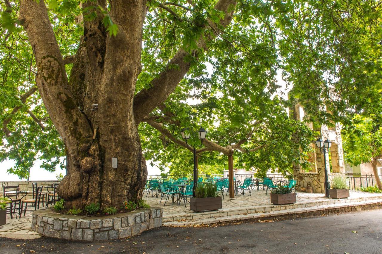 «Σκλάβας Χνάρι» Παραδοσιακός Ξενώνας Daire Magouliana Dış mekan fotoğraf